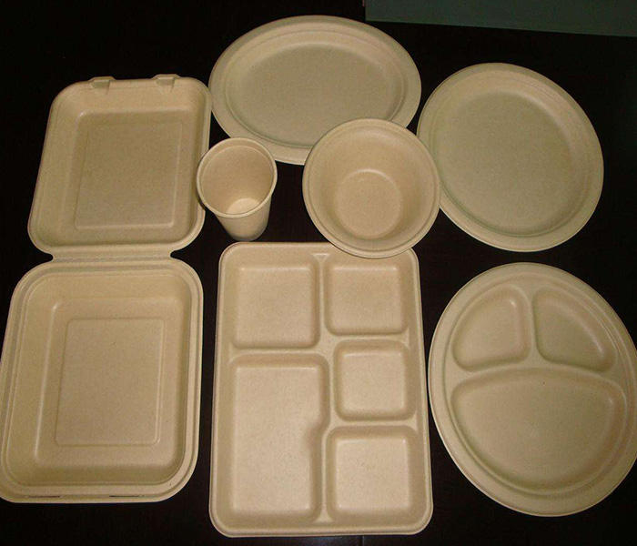 環(huán)保紙漿模塑歷來發(fā)展與應用有哪些？