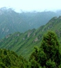青海省對(duì)天然林保護(hù)工程進(jìn)行績(jī)效評(píng)價(jià)，對(duì)2018年度森林管護(hù)工作進(jìn)行了巡回監(jiān)理，實(shí)現(xiàn)績(jī)效評(píng)價(jià)和監(jiān)理工作的全覆蓋。